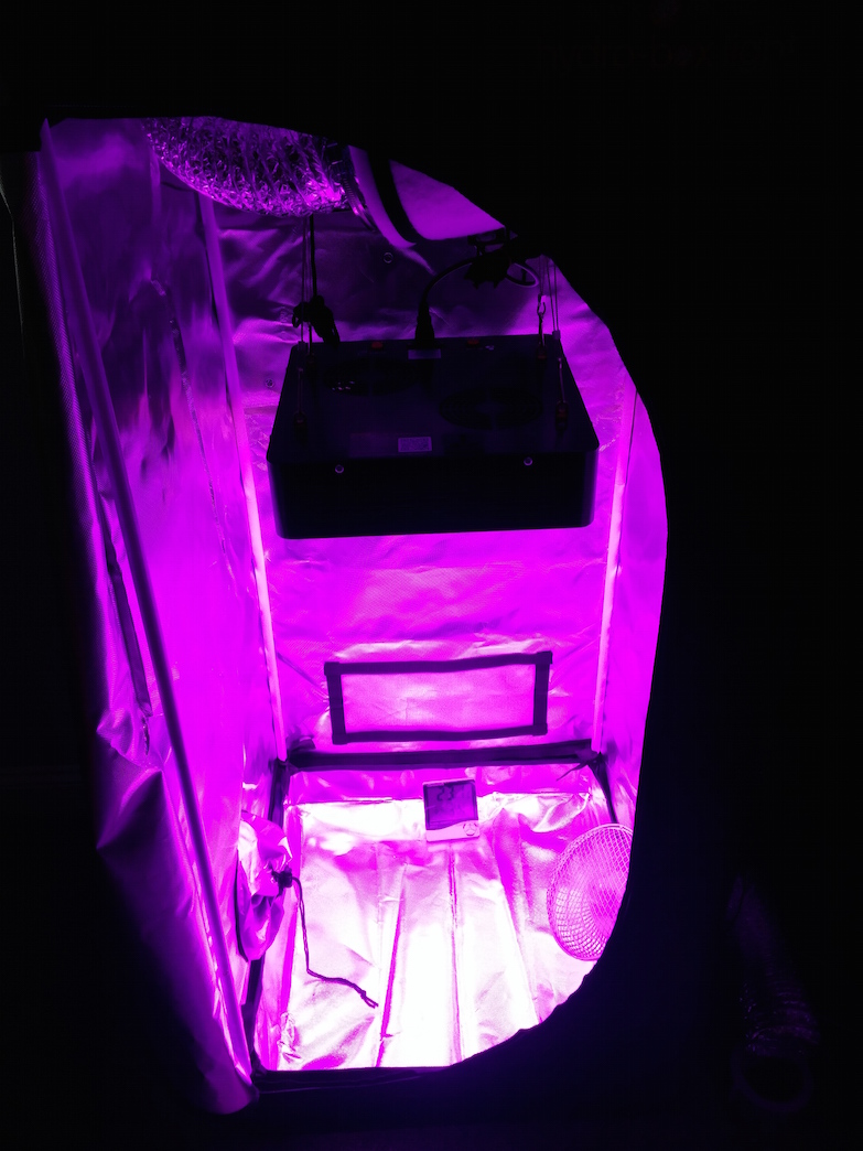 00. Initial Setup (Higher LED).jpg