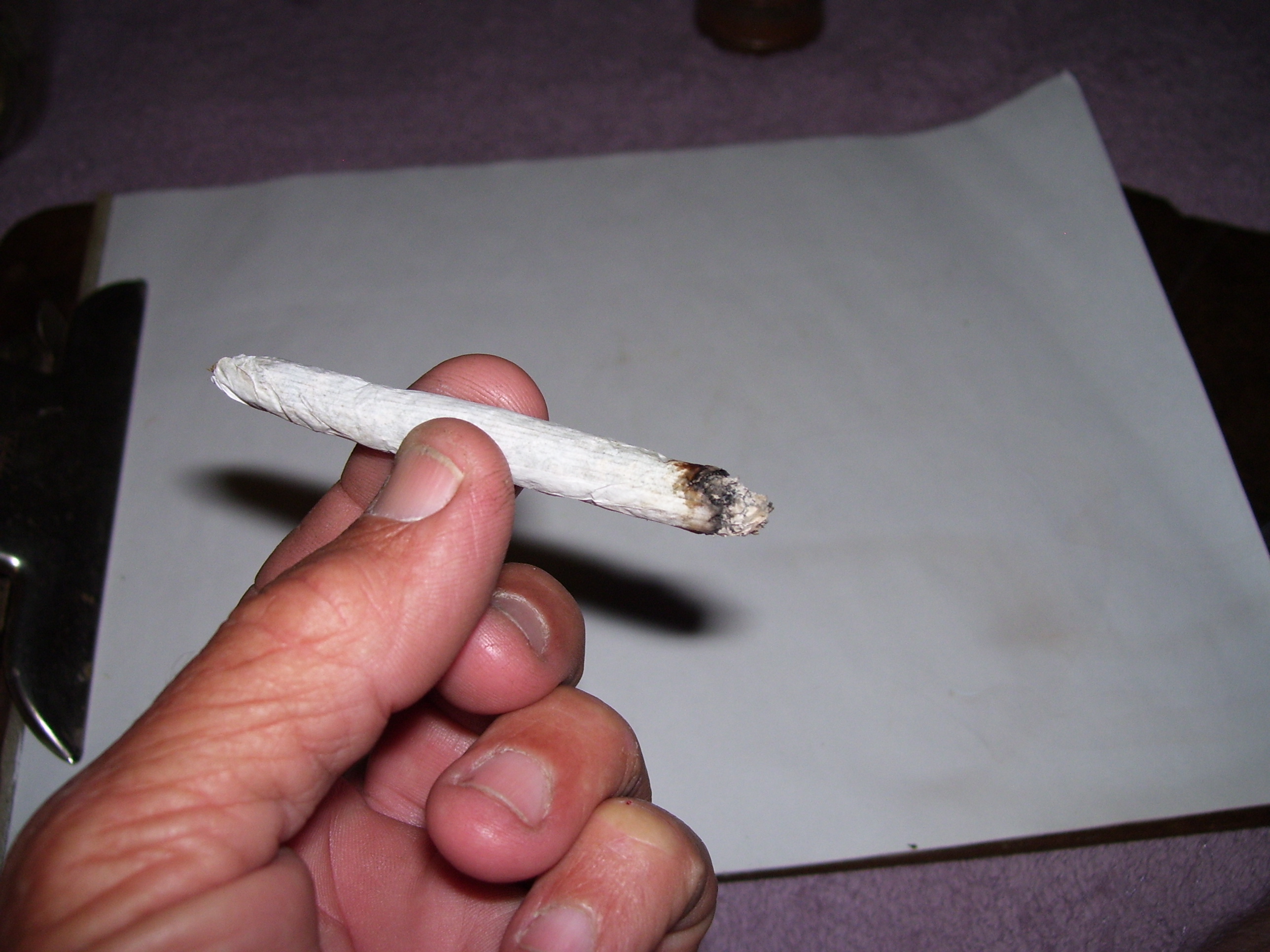 Rolling joints with filters or without what's your preference | Grasscity  Forums - The #1 Marijuana Community Online