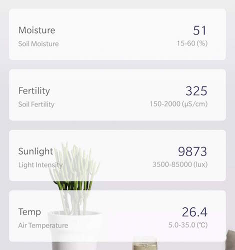 13. Veg Day 11 - Stats.jpg