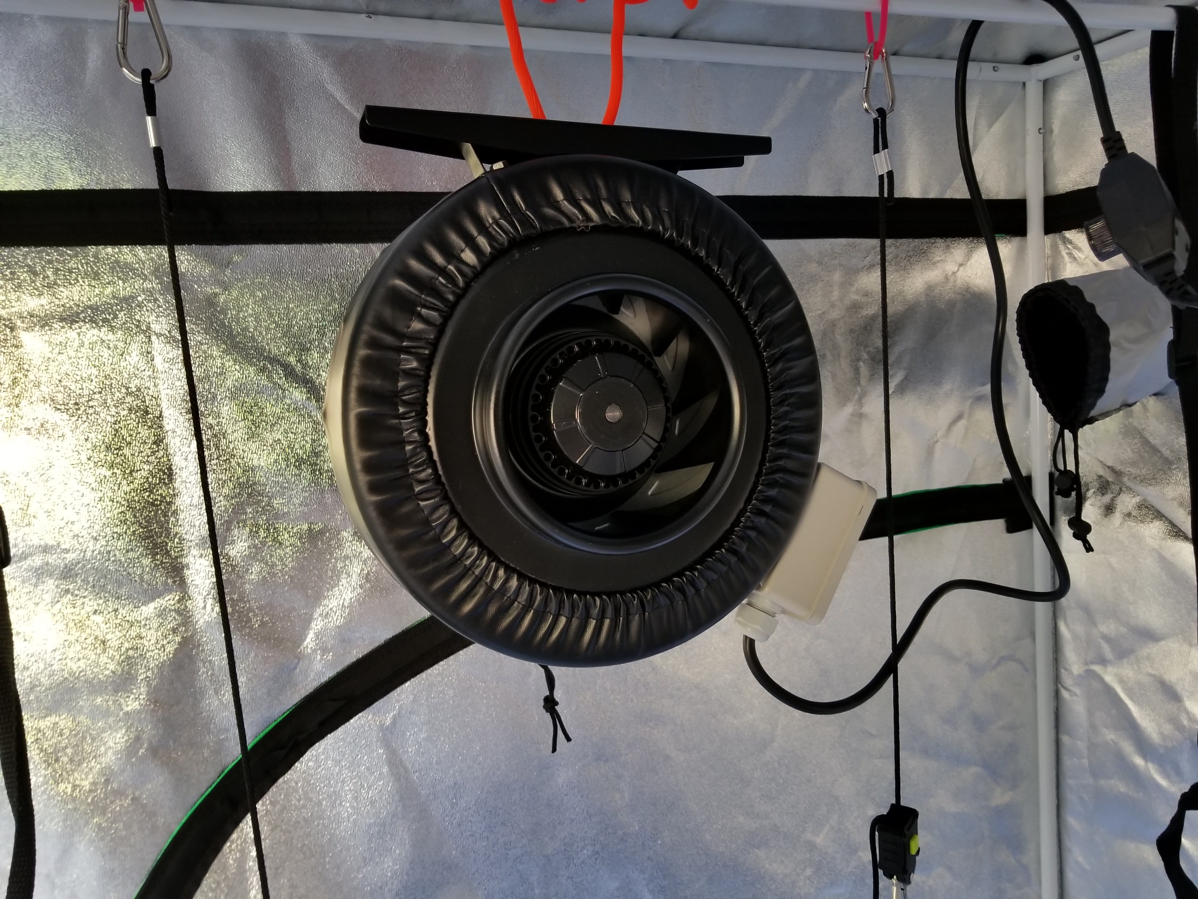 6 Inch Fan Installed in Tent March 17.jpg