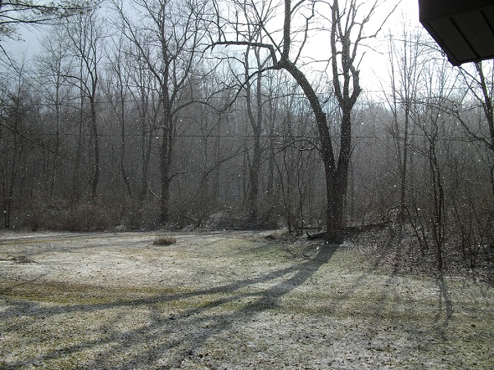 April snow and sun 001.JPG