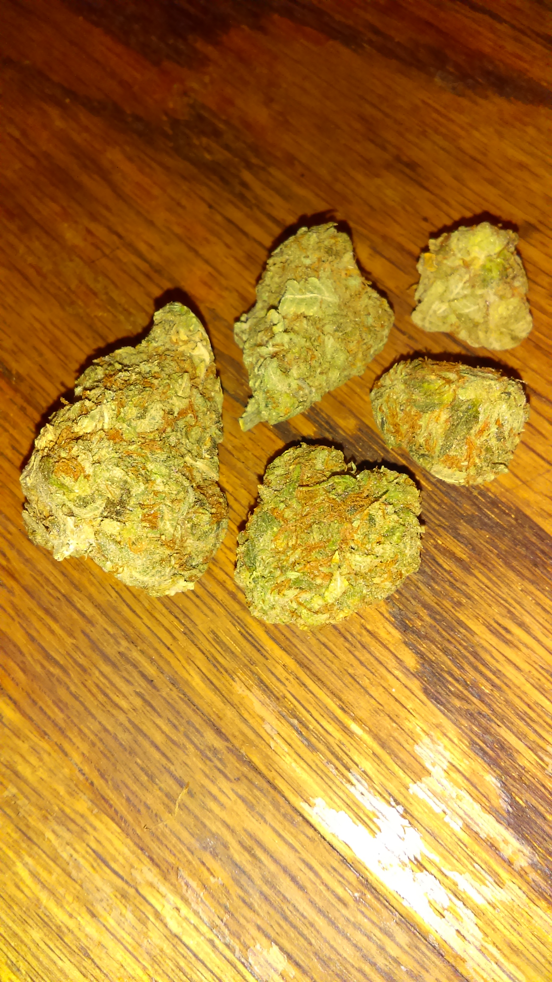 Bubble Gum Kush2.jpg