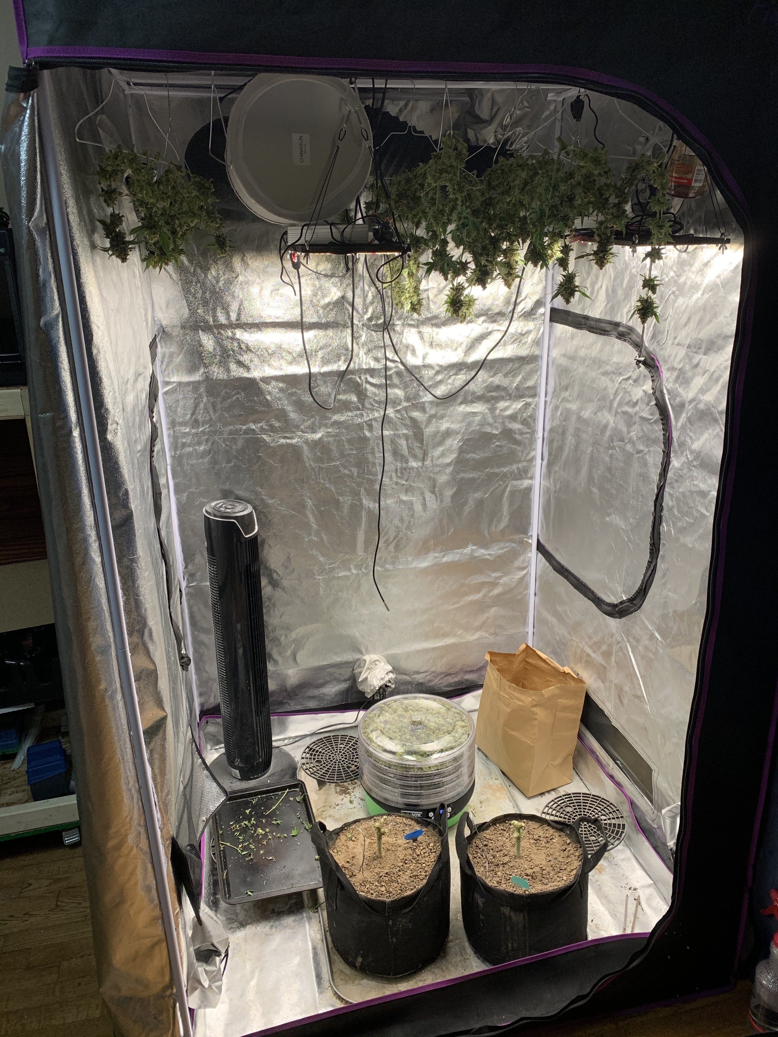 Review of the HerbsNow Dryer for Drying Cannabis