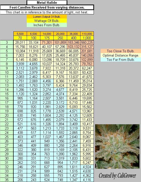 Lumens Range Chart