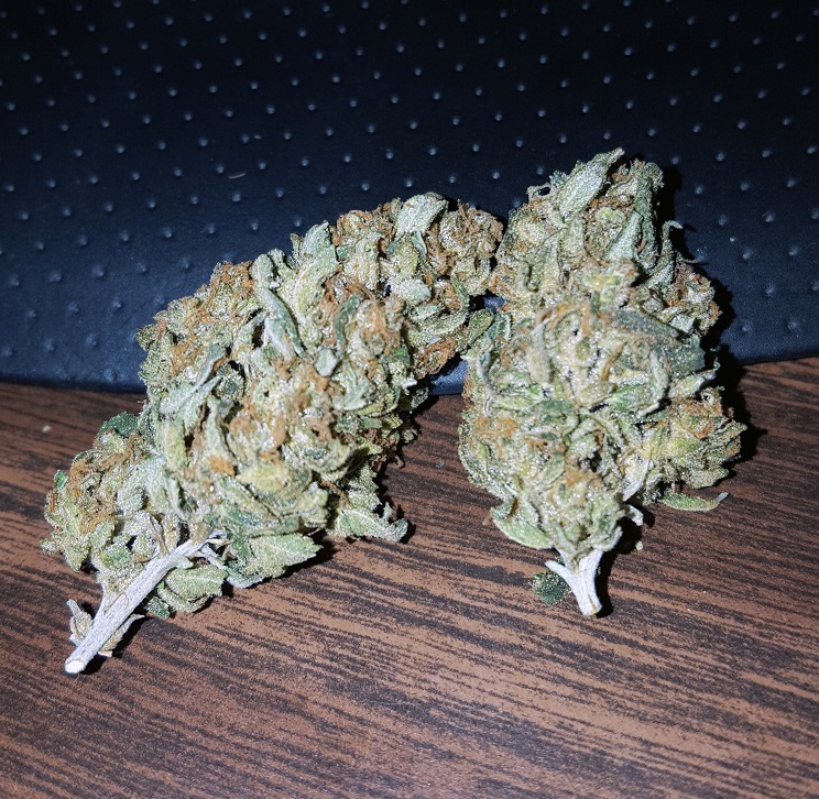 Ghengis Kron  Jihad x Kosher Kush.jpg