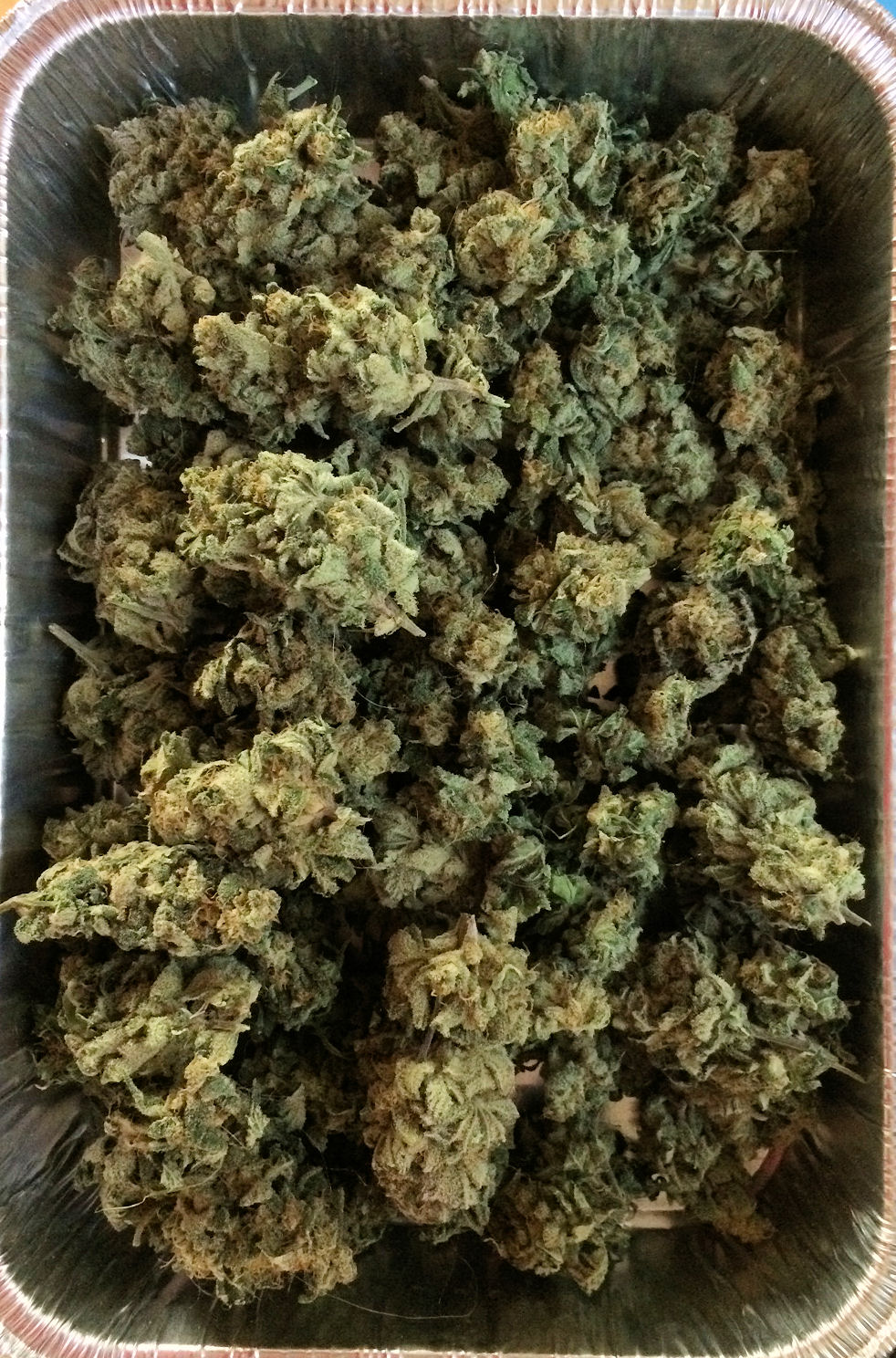 Gorilla Wreck#4.jpg