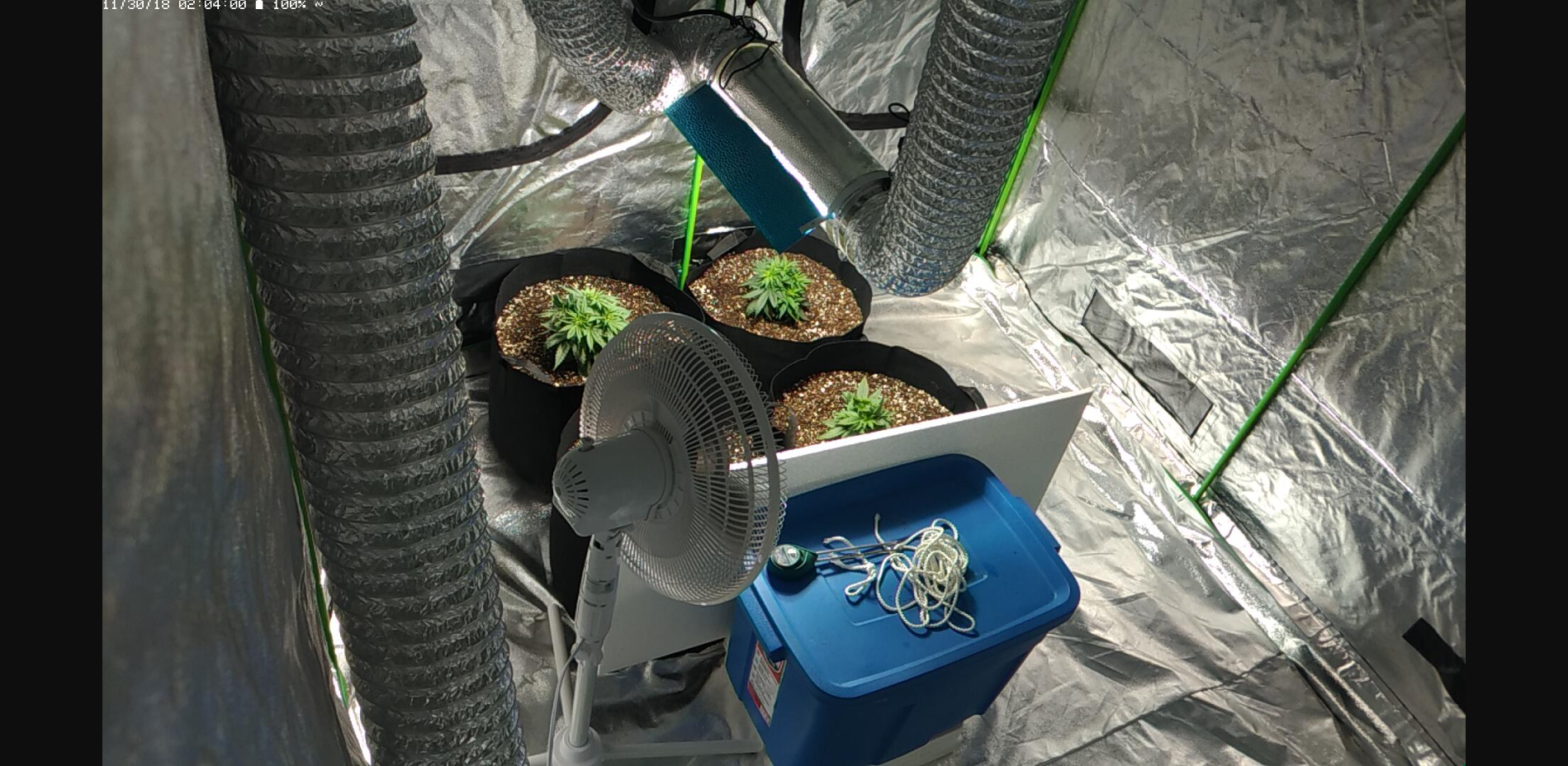 Grow Room Cam 1.PNG