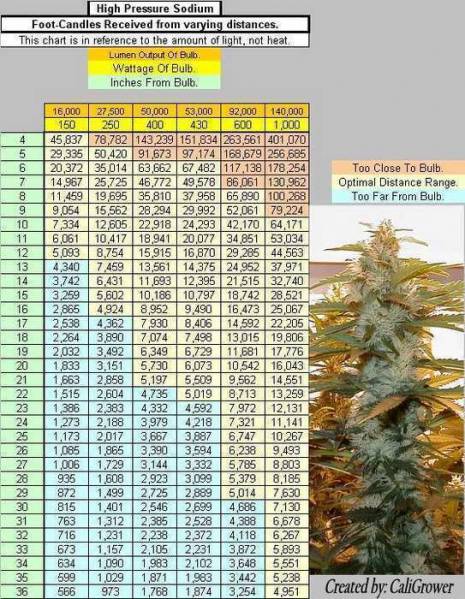 Light Distance From Plants Chart