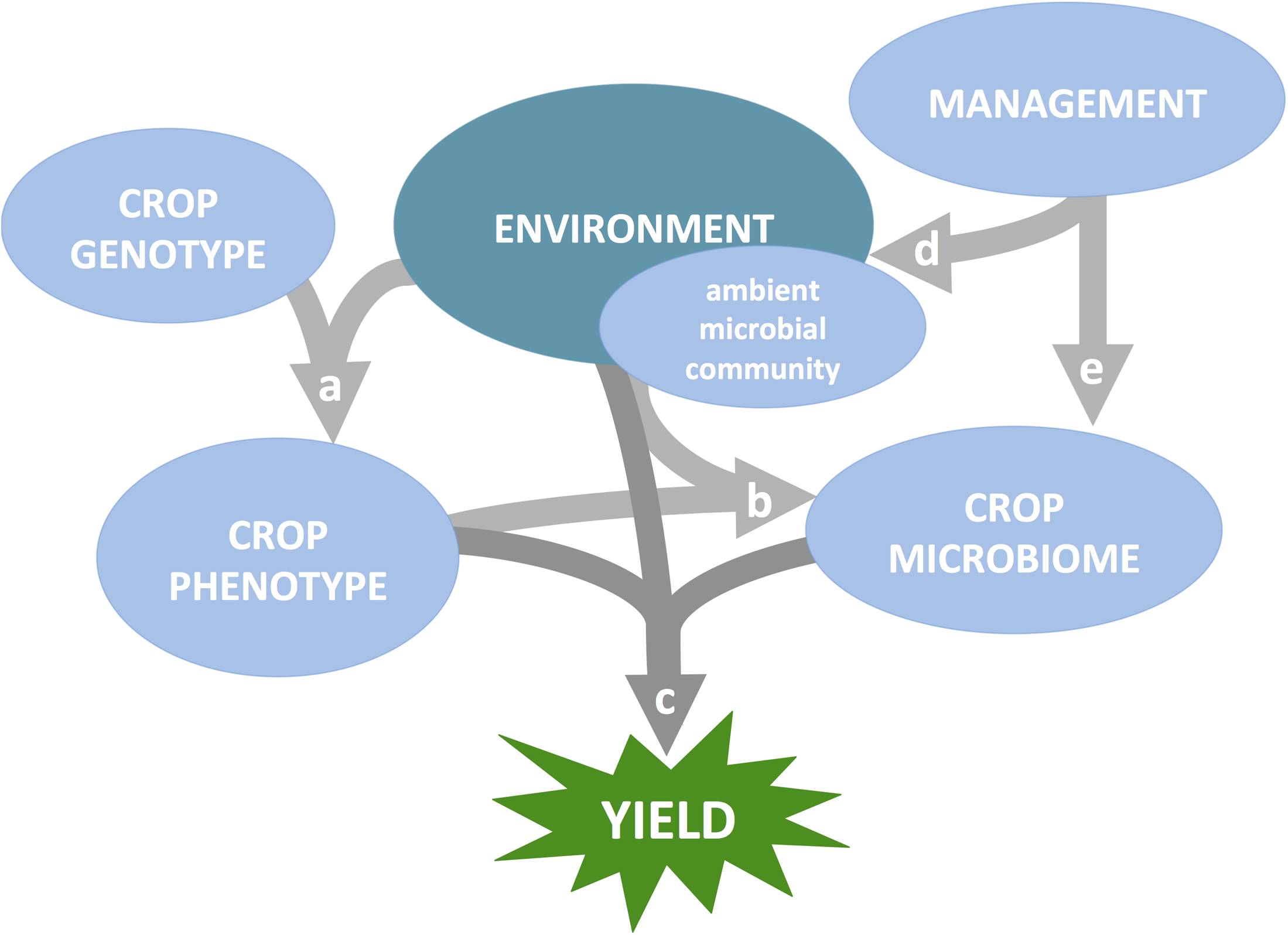 journal.pbio.2001793.g001.PNG