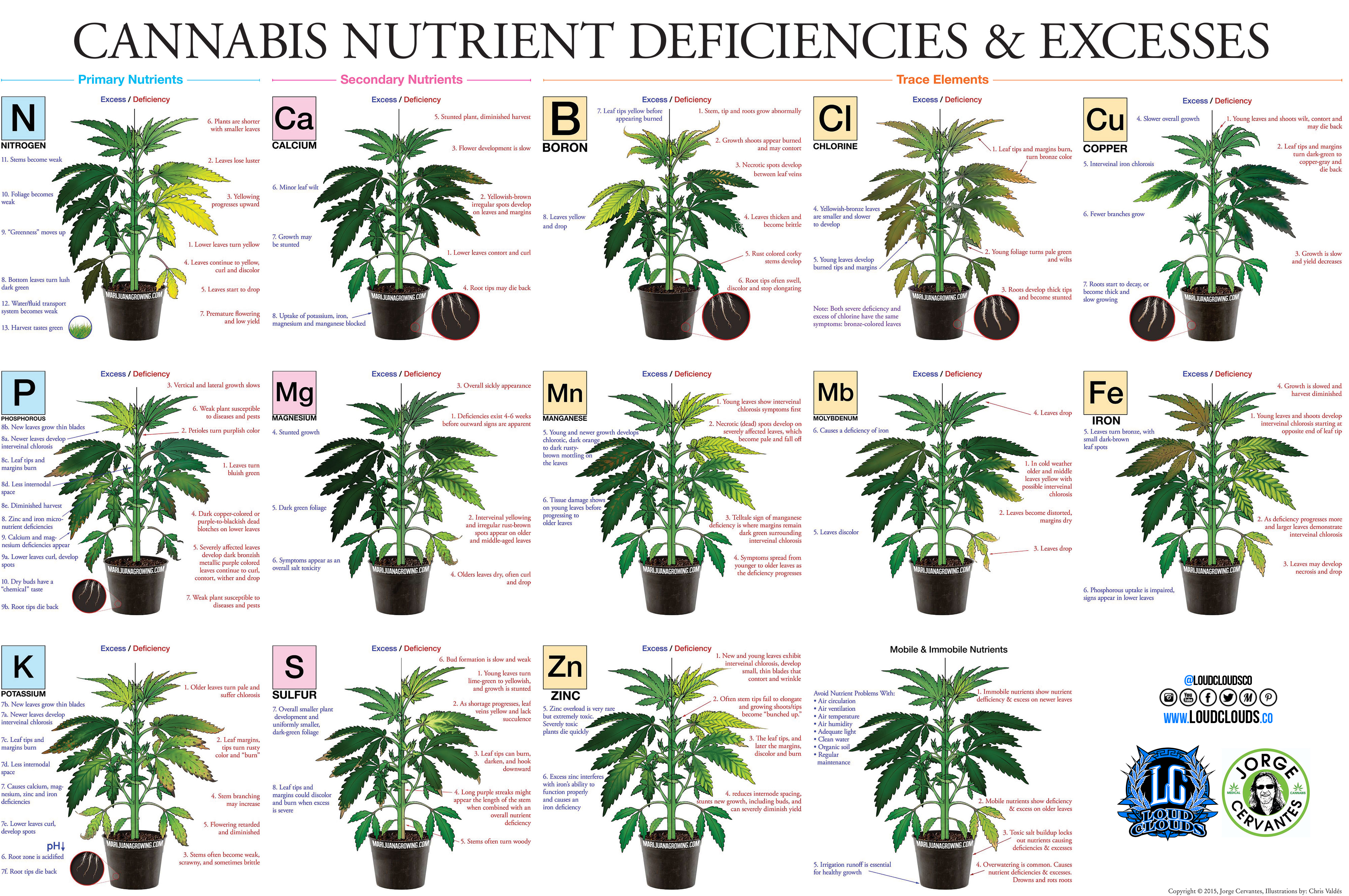 marijuana-deficiency-chart-.jpg