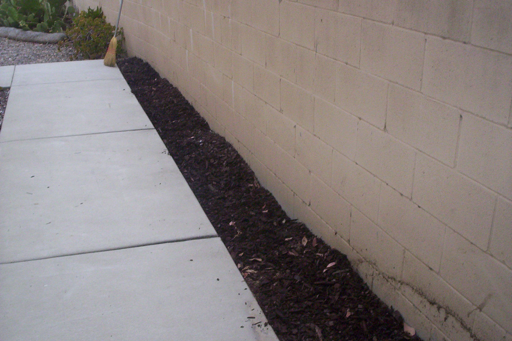 mulch laid dwn-vinca tp'd 001.JPG