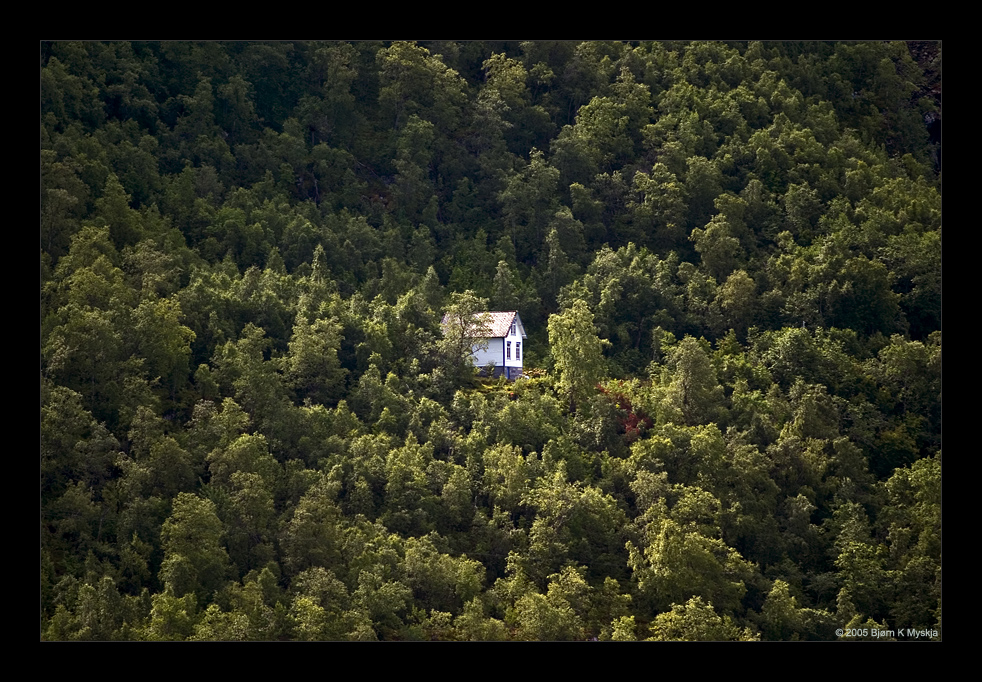 old_house_in_the_woods_by_bkm.jpg