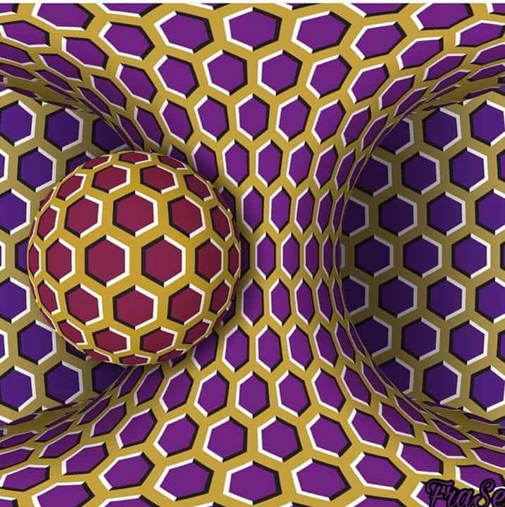 optical illusion static or not.jpg