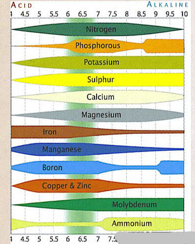 ph chart.jpg