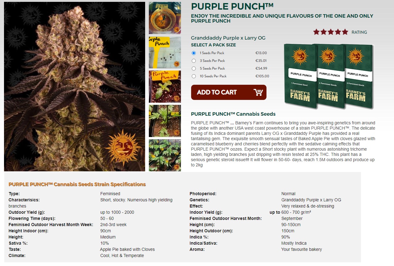 purple punch Specifications.jpg