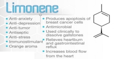 Terpenes7.jpg